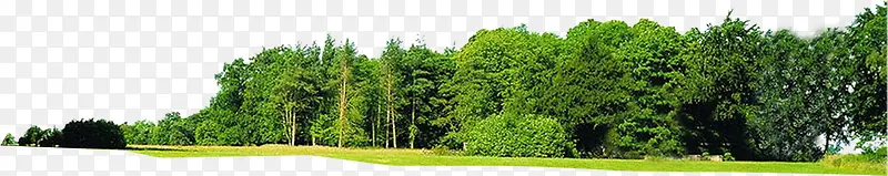 ����԰��ֲ������-������