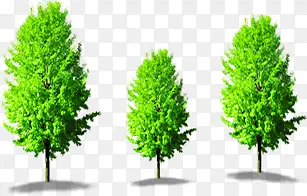 ������������ֲ��-������