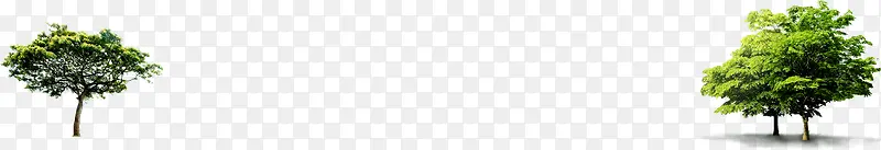 ������������ֲ��-������