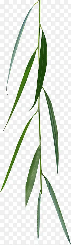 ������ľ԰�־���-������