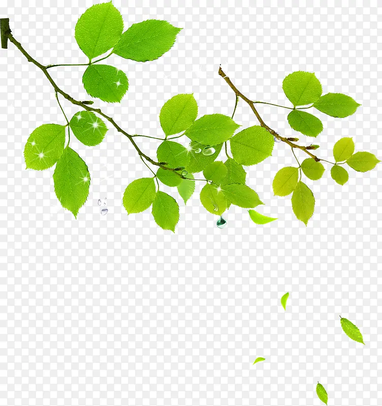 ��������ֲ���ֻ�-������