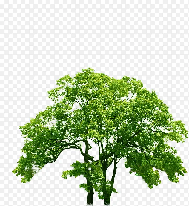 ����������԰����-������