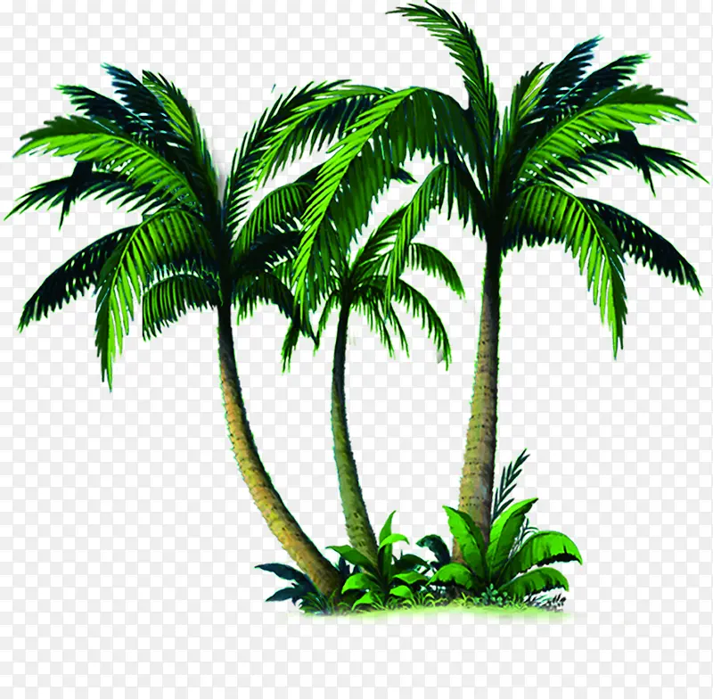 ��������Ҭ���ֻ�-������