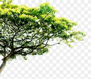 ����԰�־�������-������