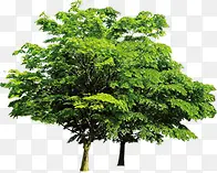 ��������԰���̻�-������