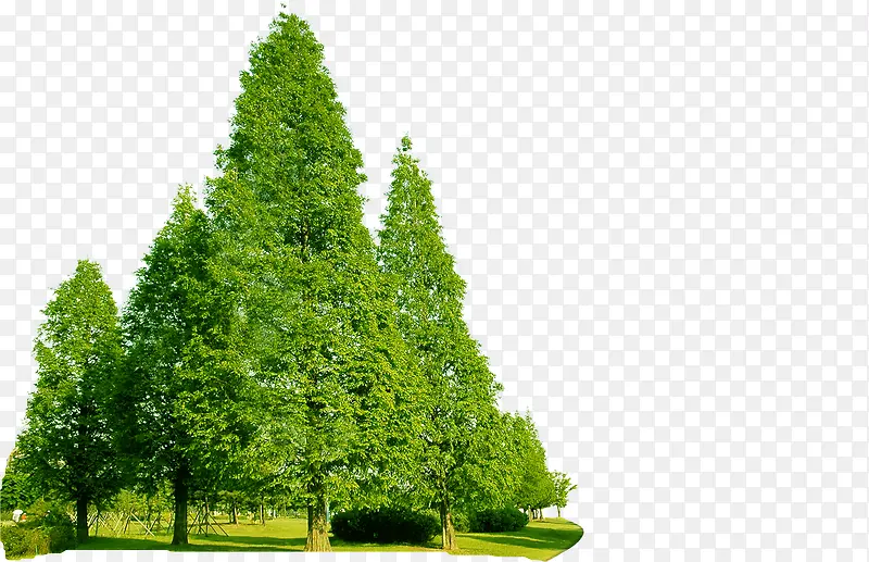 ��԰������������-������