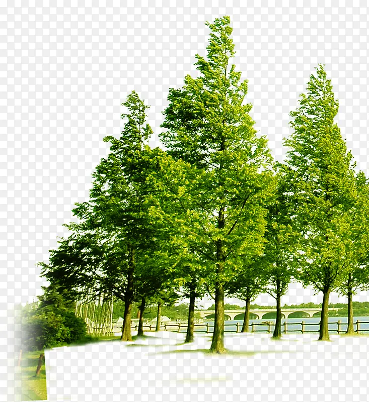 ����ֲ�ﾰ������-������