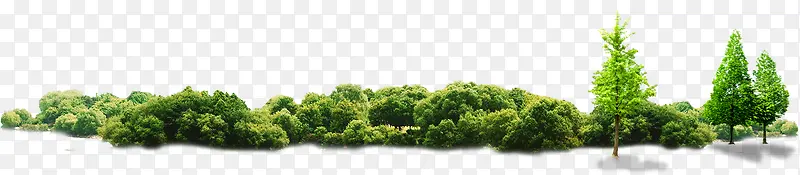 ��������ֲ��԰��-������