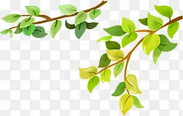 ��������װ�����-������