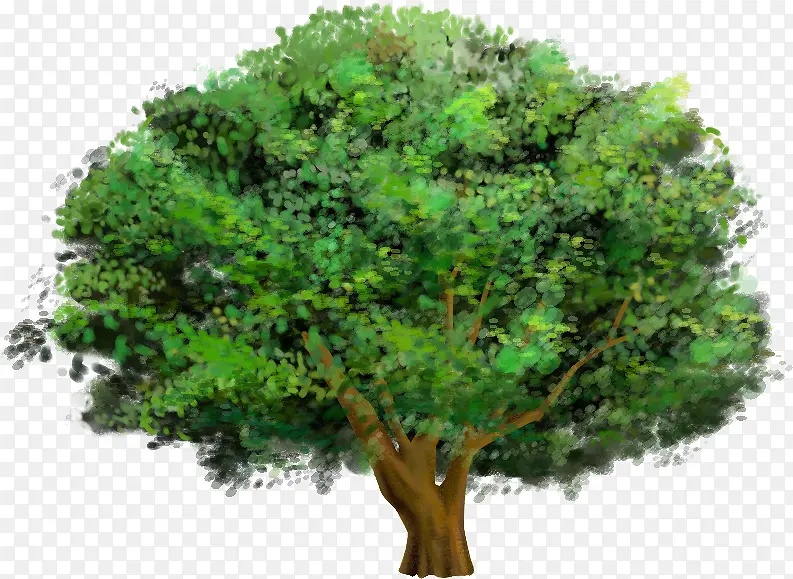 �ֻ���������羰-������