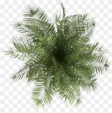 Ҭ������������Ӱ-������