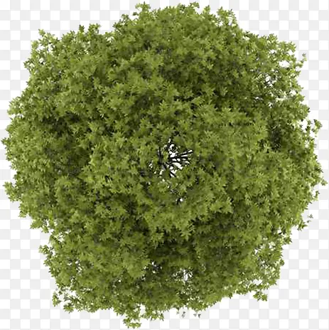 ԰����������ֲ��-������