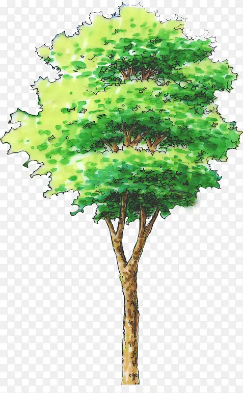 �ֻ���ɫ�ֲ�����-������