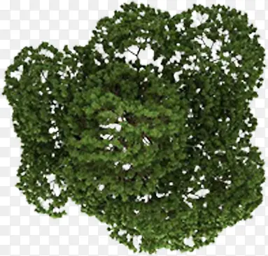 �ֻ�԰��������Ƭ-������