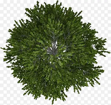 �ֻ�԰�������ؿ�-������