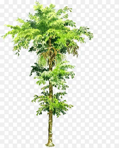 �ֻ�������������-������