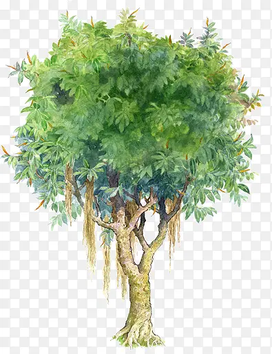 �ֻ���������ͼƬ-������