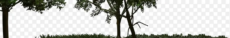 ������������ֲ��-������