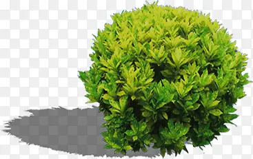 ������԰�������-������