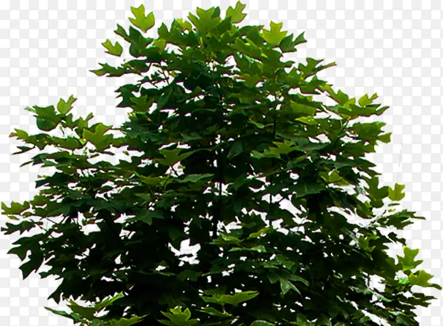 �ߵ�������������-������