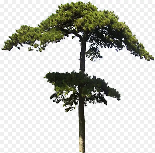 �ֲ���������Ч��-������