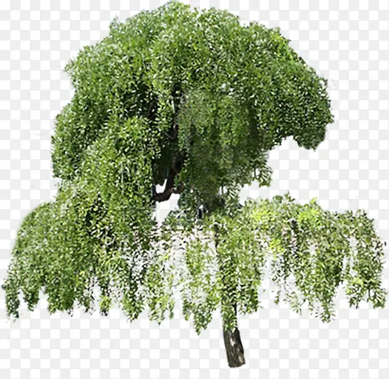 �ֲ㴴����������-������