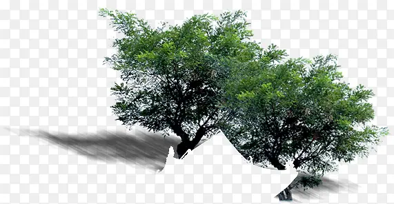 ��԰�����������-������