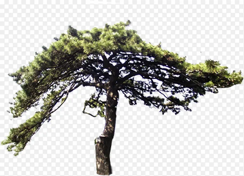 ��������Ч���ͺ�-������