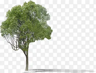 �����������վ���-������