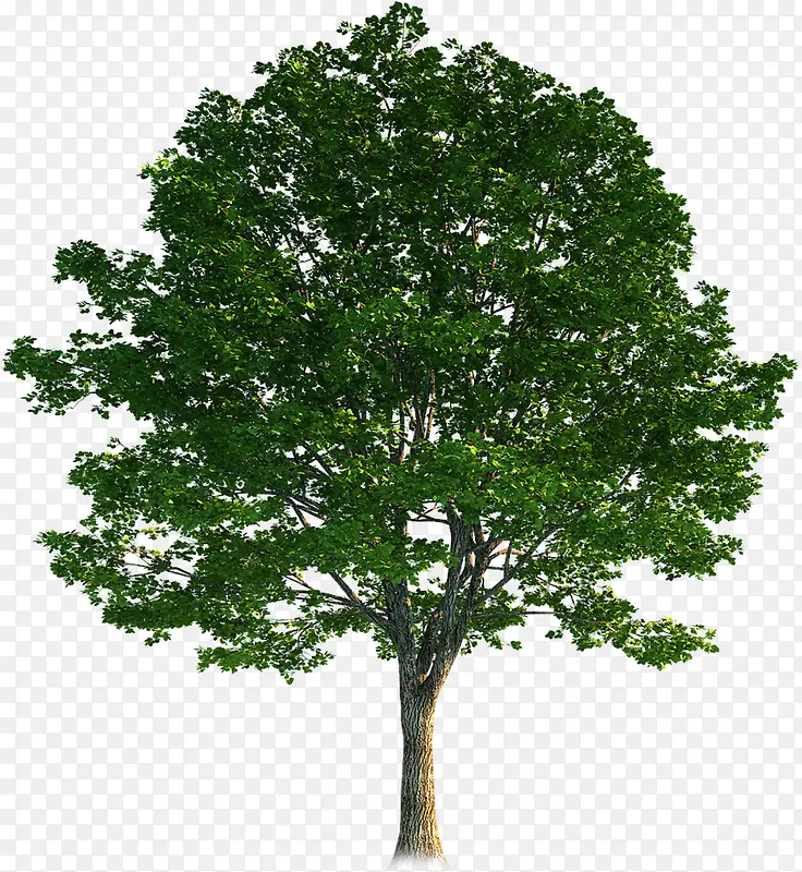 ԰��������������-������