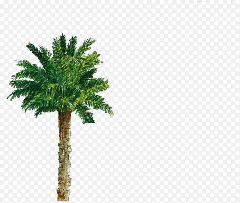 ����������������-������