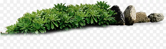 С��������������-������