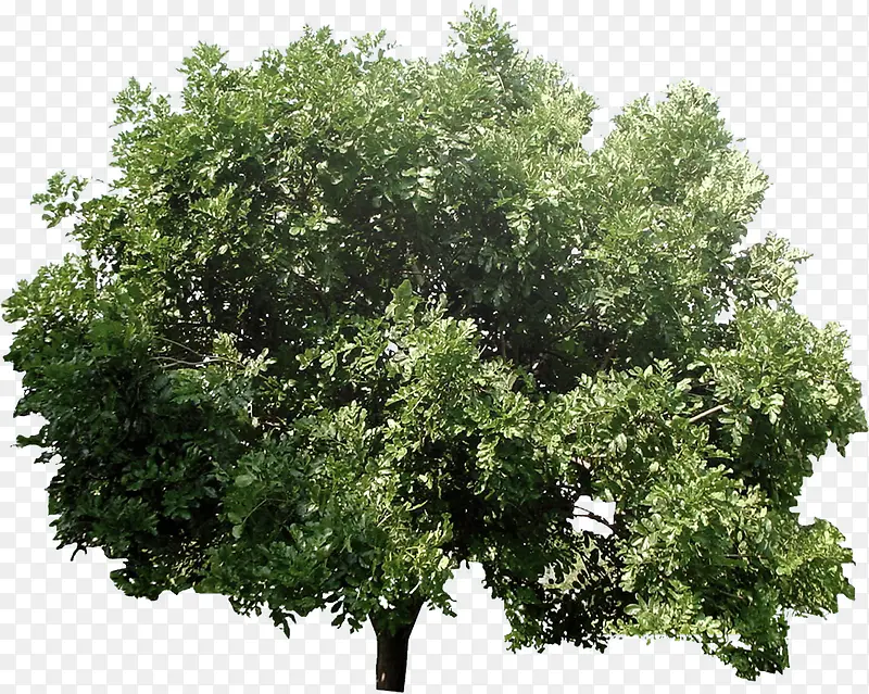 ����������������-������