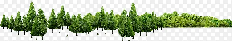 �ִ�����������԰-������