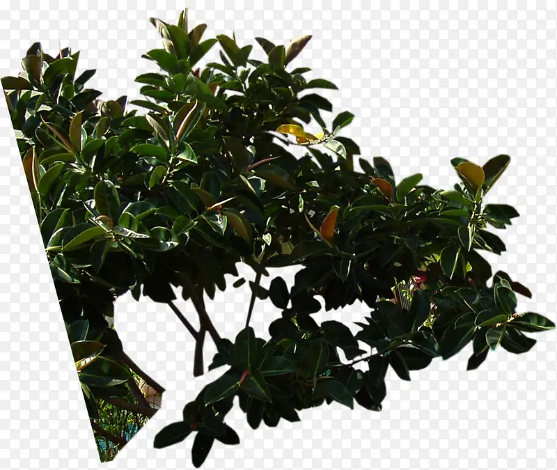 �����ز���ҵ����-������