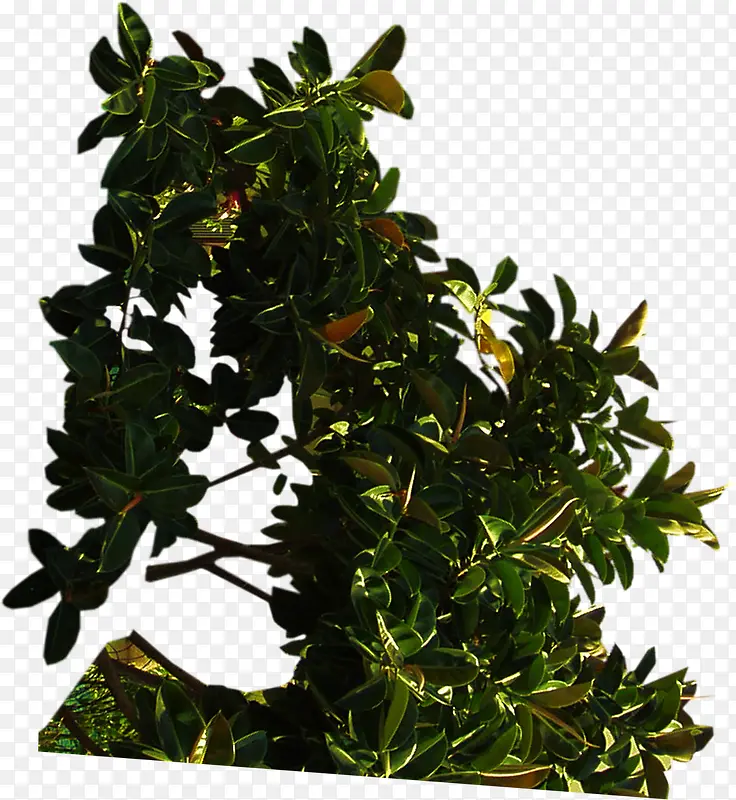 �������ز�չ��-������