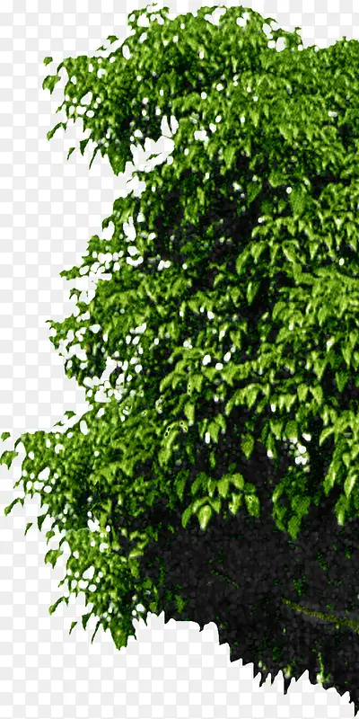 ����ŷʽ��԰�ز�-������