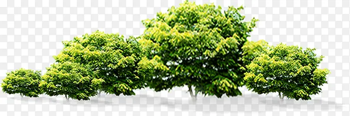 ���о�����������-������