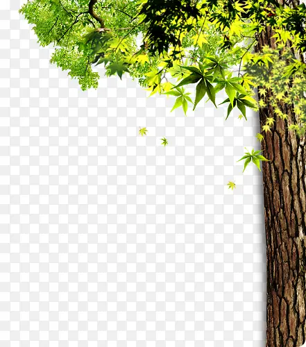 ����������������-������