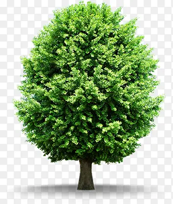 ����ҽԺչ��ͼƬ-������