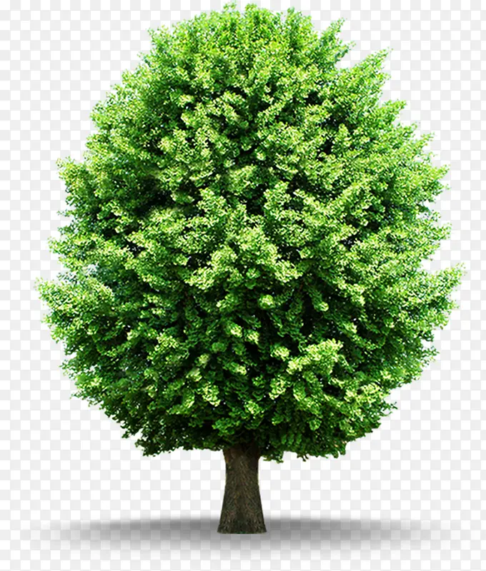 ����ҽԺ�������-������