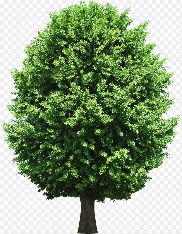 ï��������������-������