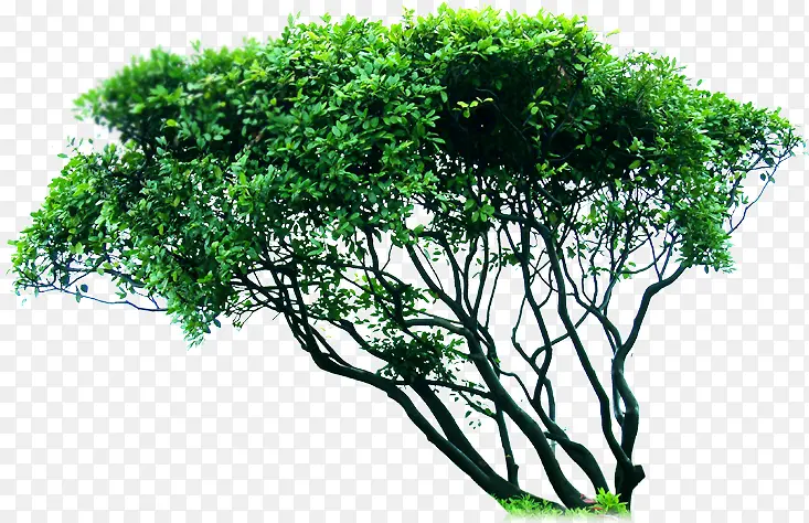 ����ͼ�꺣��ͼƬ-������