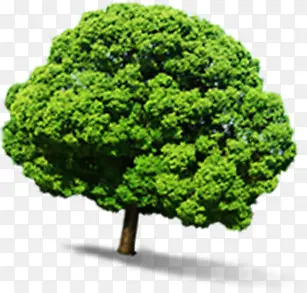 ��ɫ������������-������