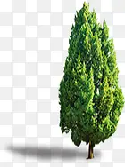 ����Ӣ����ѵͼƬ-������