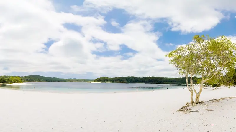 �ӱ߰�ɫɳ̲����-������