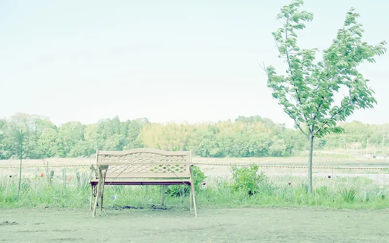 �������������ز�-������