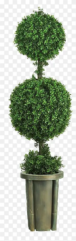 ��ɫ����ֲ������-������