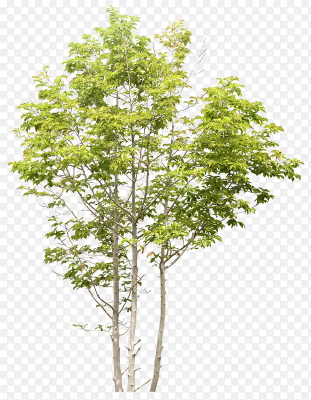 ������ߺ��ز�-������