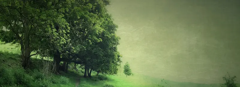 ����-������